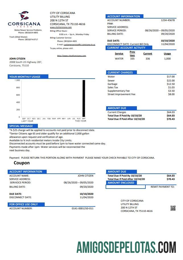 realista Modelo de conta de serviços públicos da cidade de Corsicana, Texas, EUA, em formato Word e PDF
